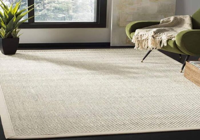 Let’s explore more about Sisal Rugs